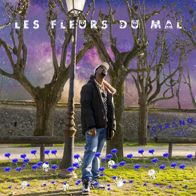 Les fleurs du mal