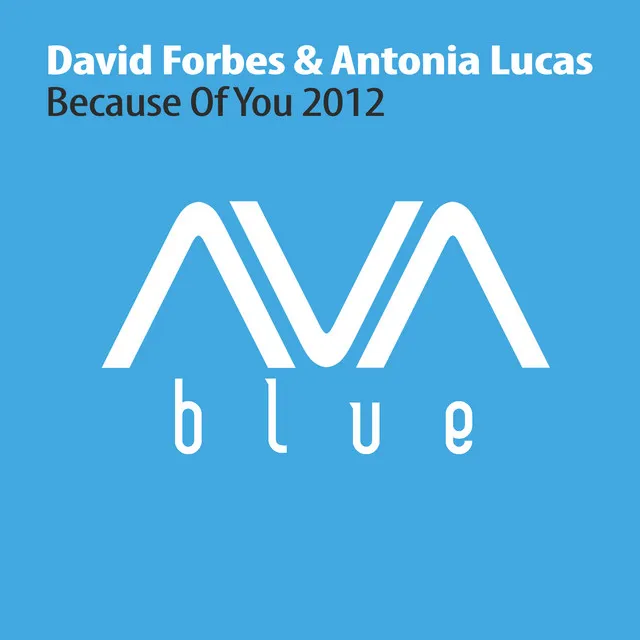 Because Of You 2012 - Airplay Mix