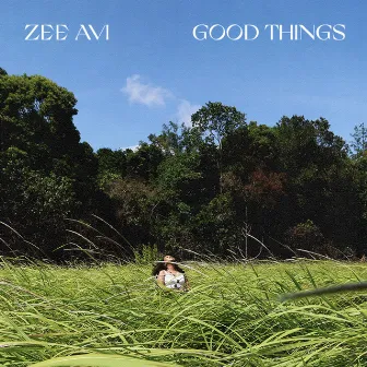 Good Things by Zee Avi