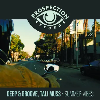 Summer Vibes by Groove