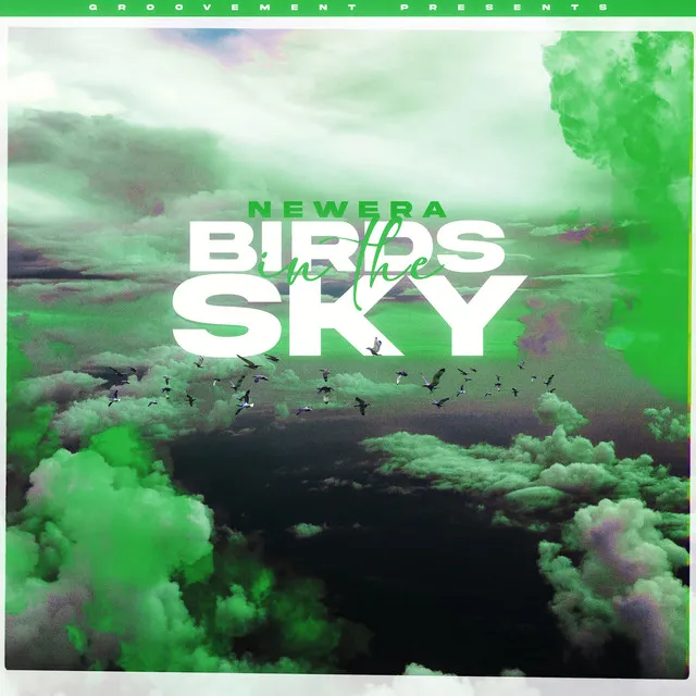 Birds In The Sky - Sam Green Remix