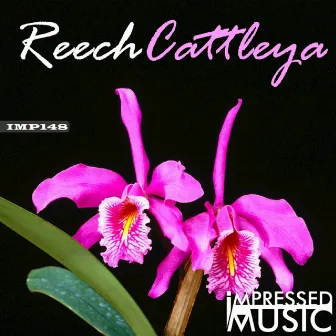 Cattleya by Reech