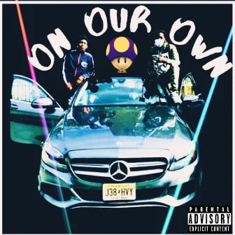 On Our Own by Wavy