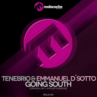 Going South by Tenebrio