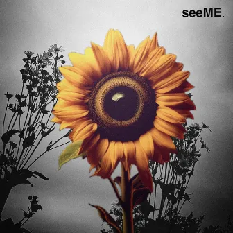 seeME by L Speaks