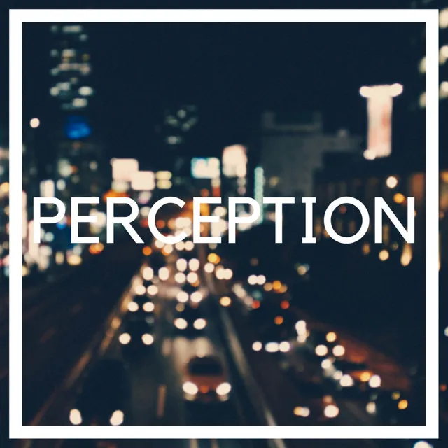 PERCEPTION