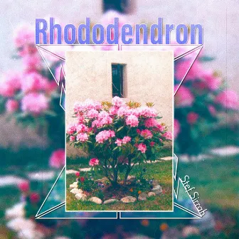 Rhododendron by Stef Sirrah