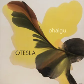 Phalgu by Otesla