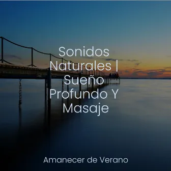 Sonidos Naturales | Sueño Profundo Y Masaje by Unknown Artist