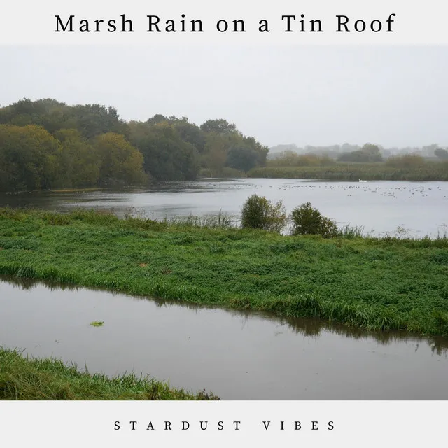 Marsh Rain on a Tin Roof