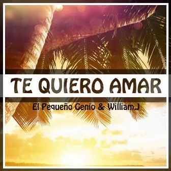 Te Quiero Amar by el pequeño genio