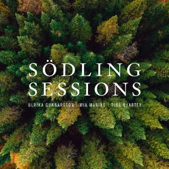 Södling Sessions by Mia Marine