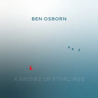 A Bridge of Starlings by Ben Osborn