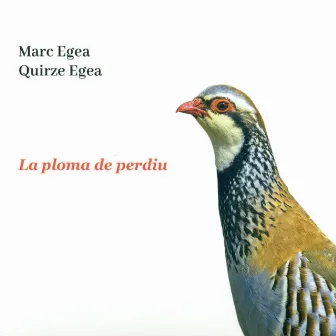 La Ploma de Perdiu by Marc Egea