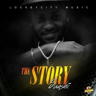 The Story - Single by Swashii