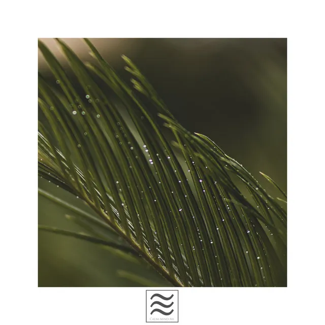 Relaxation Raining and Bowls Background