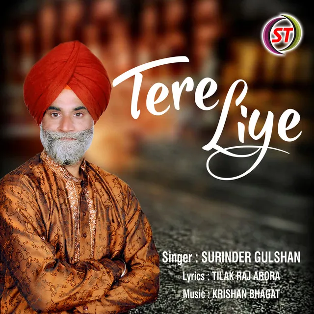 Tere Liye - Panjabi