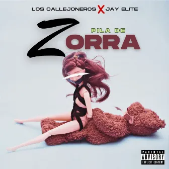 pila de zorra by Unknown Artist