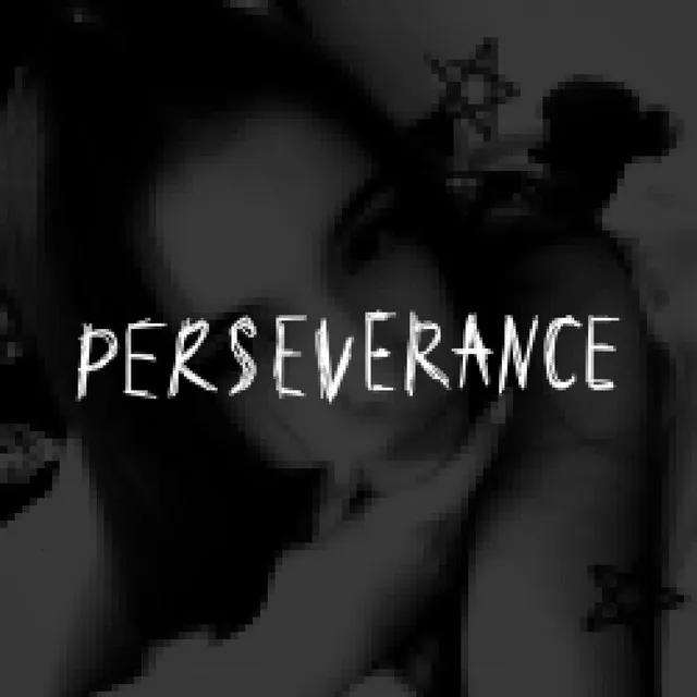 PERSEVERANCE - speed up