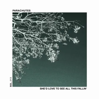 She'd Love to See All This Fallin' by Parachutes