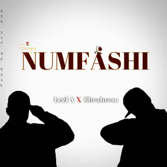 NumFashi by Ebraheem