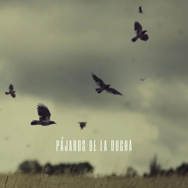 Pájaros De La Ducha