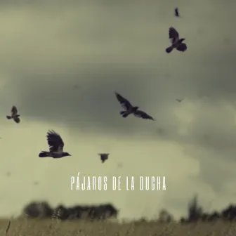 Pájaros De La Ducha by Los Pájaros Cantores