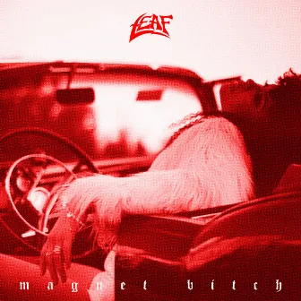 Magnet Bitch by Leaf