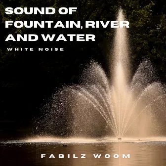 Sound of Fountain, River and Water (White Noise) by Fabilz Woom