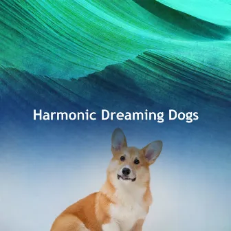 Harmonic Dreaming Dogs by Dog Sounds