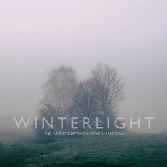 The Longest Sleep Through the Darkest Days by Winterlight