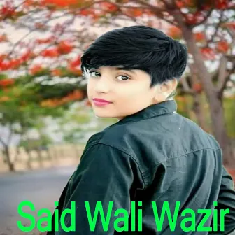 Na Me Da Shapay Khubona Shata by Said Wali Wazir