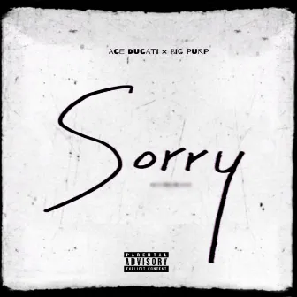 I'm Sorry by Ace Ducati