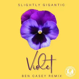 Violet (Ben Casey Remix) by Ben Casey