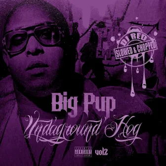 Undaground Hog, Vol. 2 (Slowed & Chopped) by DJ Red