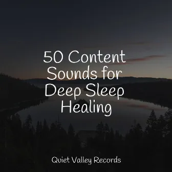 50 Content Sounds for Deep Sleep Healing by Study Zone