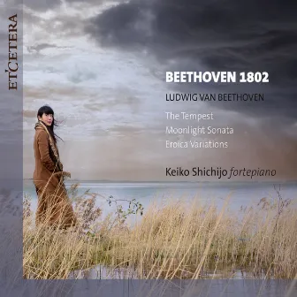 Beethoven 1802 by Keiko Shichijo