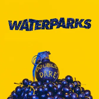 Double Dare by Waterparks