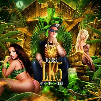 LK5 (Hotel Liz O Fornia) by Big Cisk