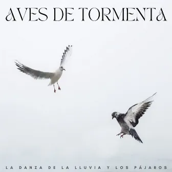 Aves De Tormenta: La Danza De La Lluvia Y Los Pájaros by Pájaros de la noche