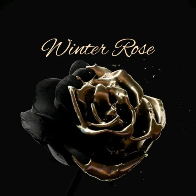 Winter Rose