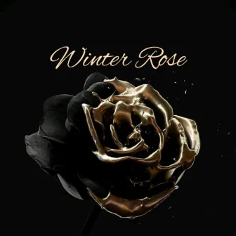 Winter Rose by Nicolas Alan