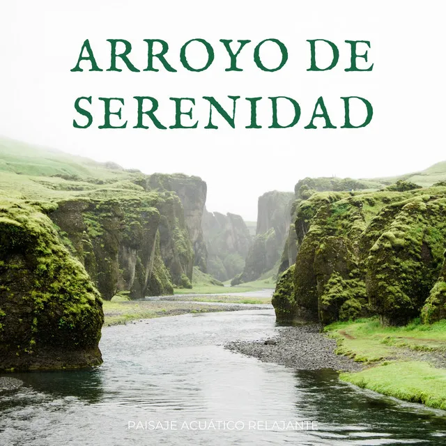 Arroyo estéreo