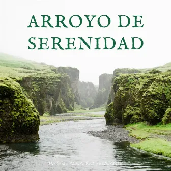 Arroyo De Serenidad: Paisaje Acuático Relajante by Relajacion Ariel