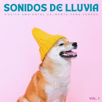 Sonidos De Lluvia: Música Ambiental Calmante Para Perros Vol. 1 by Perros en casa