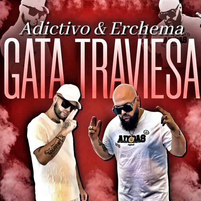 GATA TRAVIESA