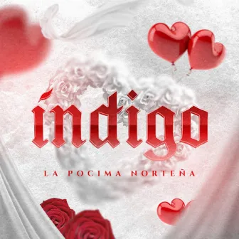 Índigo by La Pocima Norteña