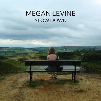 Slow Down by Megan Levine