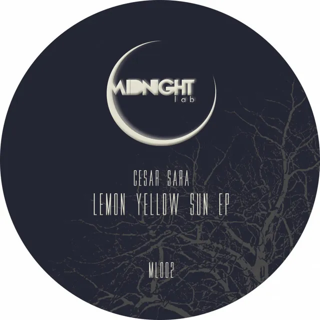 Lemon Yellow Sun - Original Mix