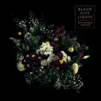 Not Enough (For Us) by Black City Lights